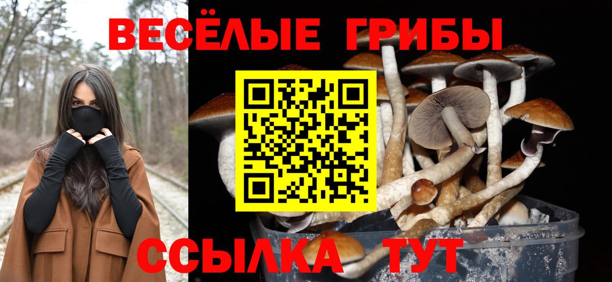 Галлюциногенные грибы мухоморы  Псилоцибиновые грибы Cubensis  Вход с VPN  Отрадное 